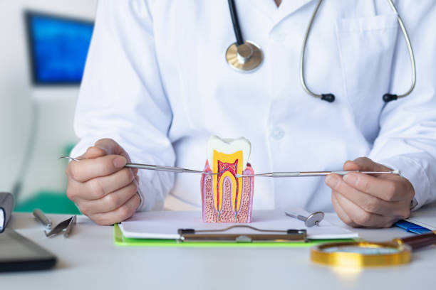 Best Dentist for Tooth Abscess  in Springdale, NC